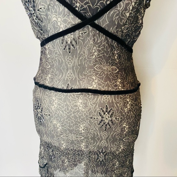 Alannah Hill Size 12 Sheer Midi Dress 100% SILK - Picture 3 of 13